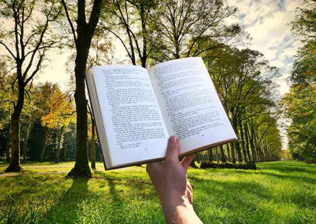 最新！美容整形発信サイト